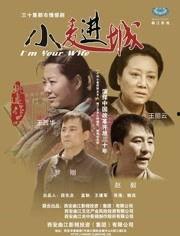 小麦进城电视剧全集在线观看,农村女孩的奋斗与蜕变之路 第2张 小麦进城电视剧全集在线观看,农村女孩的奋斗与蜕变之路 第2张